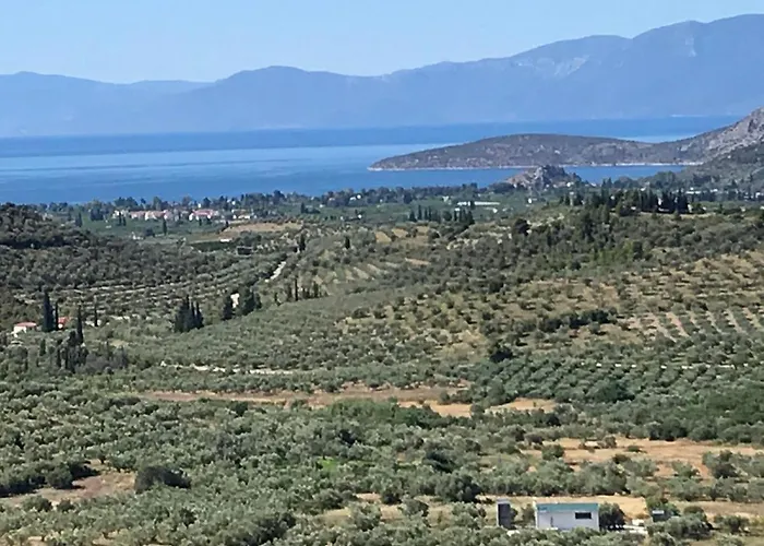 Oneirama Дом отдыха *